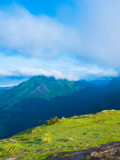 Kerala tour package with taxi