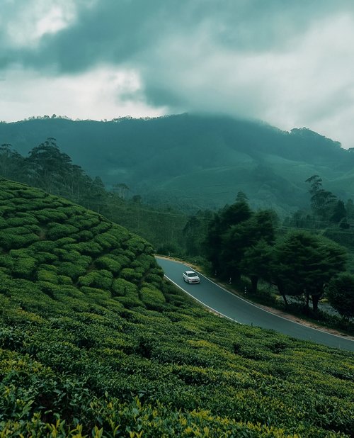 Thekkady and Vagamon Kerala taxi sightseeing package