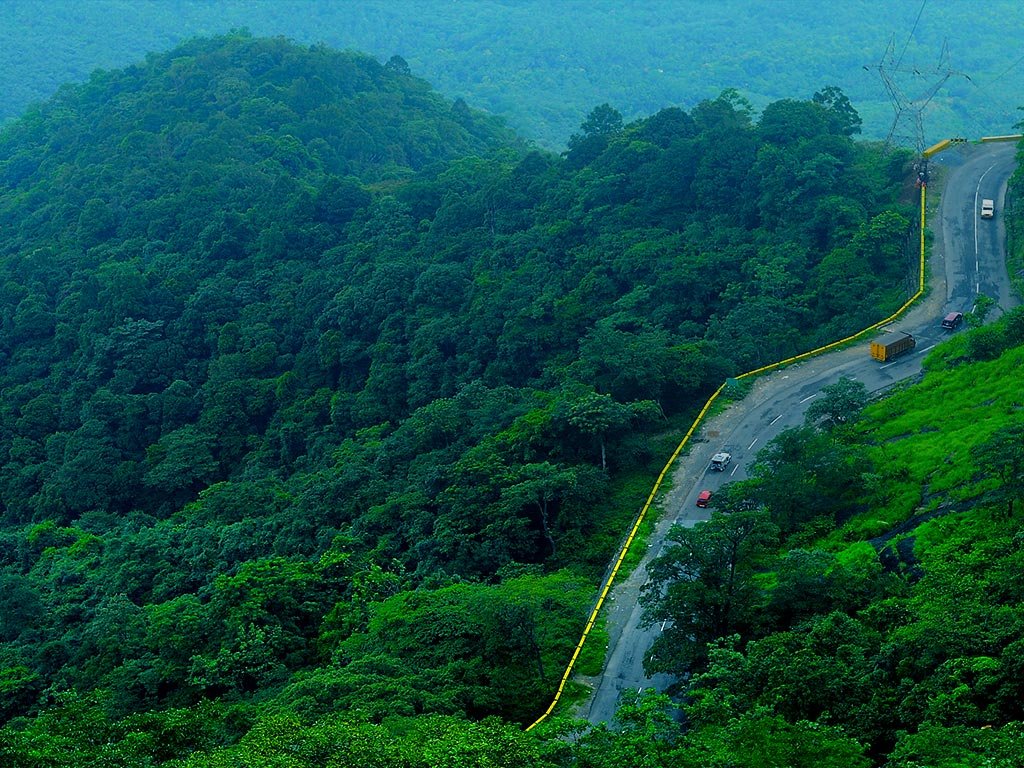 Wayanad taxi service from Kochi